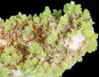 Pyromorphite Crystal Cluster - China #63682-2